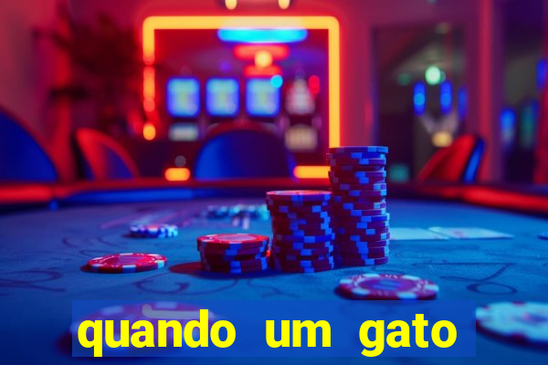 quando um gato aparece do nada significado espiritual